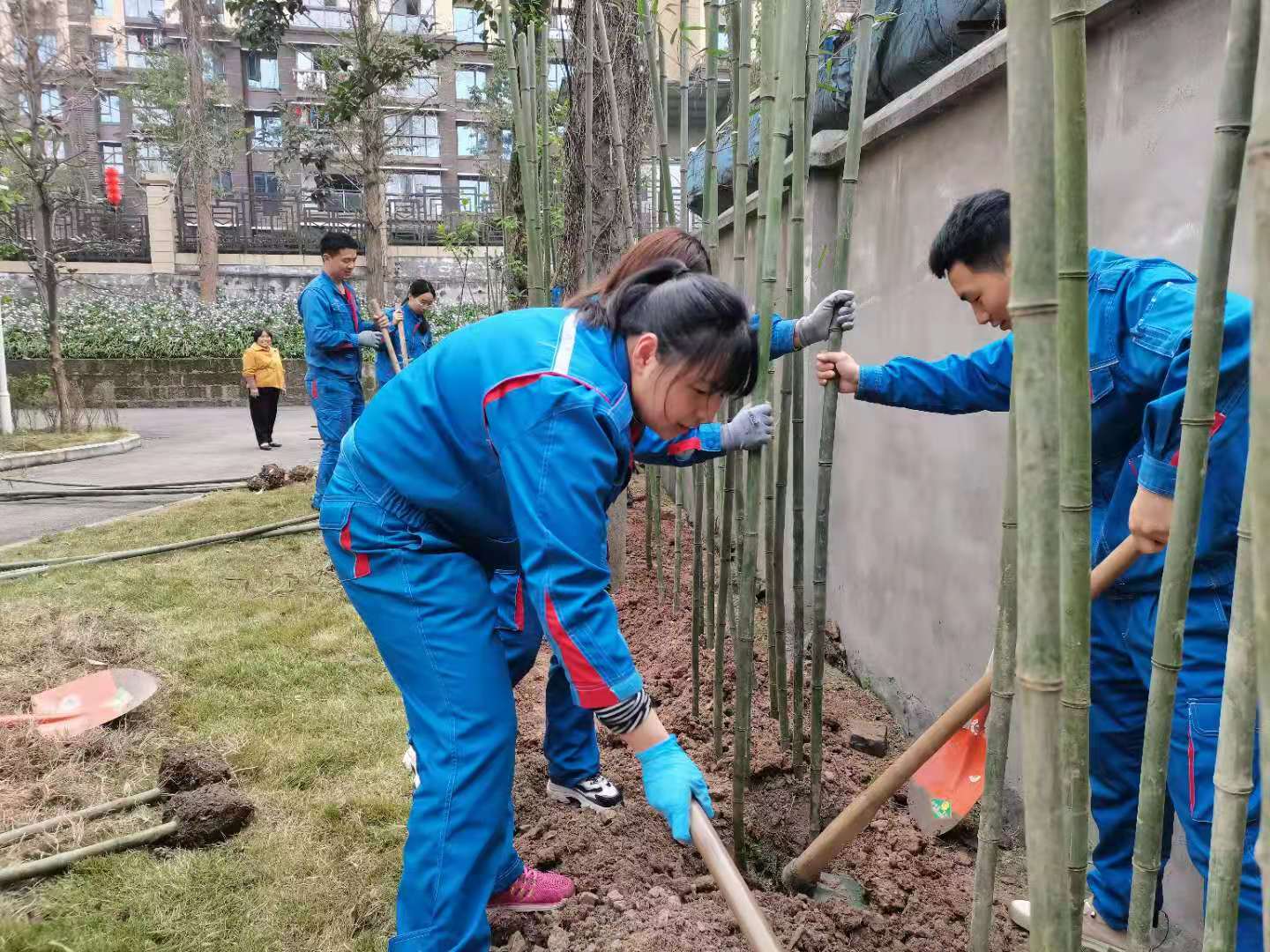 点击查看大图